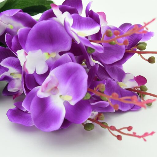 pexels-photo-667043-667043 Beautiful close-up of vibrant purple orchid bouquet with green leaves and delicate buds on a white background.